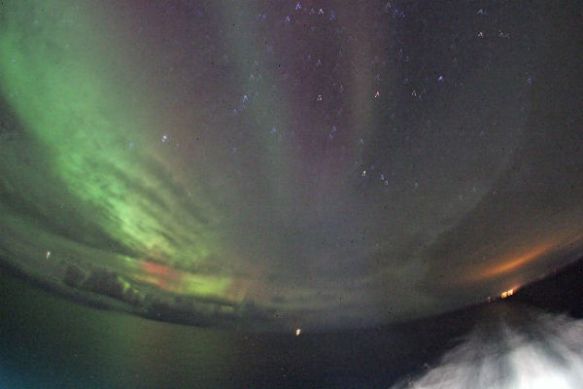 Northern Arctic Lights